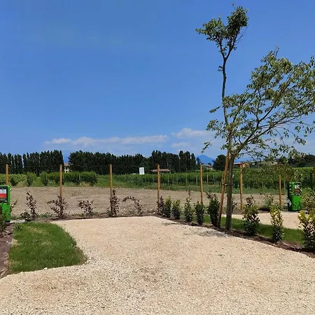 Garda Di Vino Agricamping & Wine Shop Lazise Ronchi (Veneto)