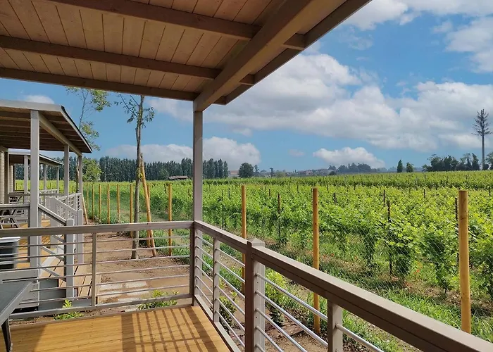 Garda Di Vino Agricamping & Wine Shop Lazise Campsite