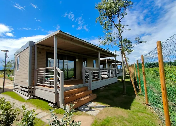 Garda Di Vino Agricamping & Wine Shop Lazise * Ronchi (Veneto)